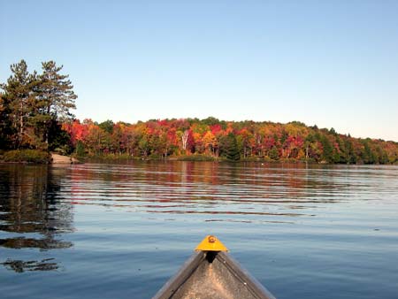 morningPaddle.jpg