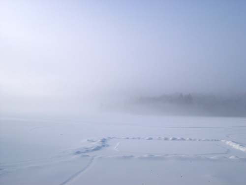 Winter Morning Mist