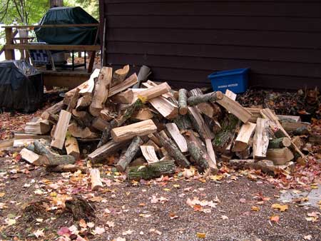 woodPile1.jpg