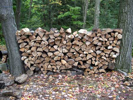 woodPile2.jpg